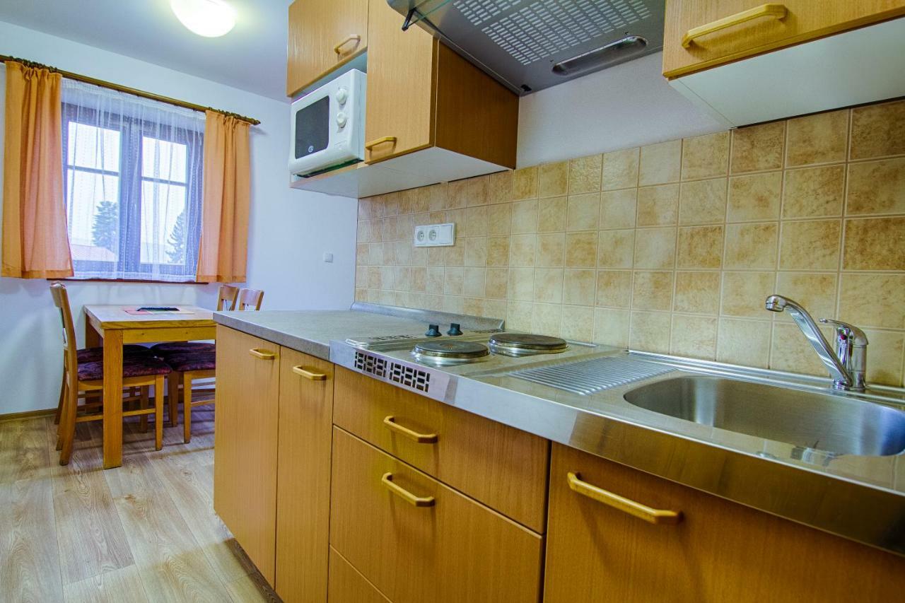 Apartment Rokys Rokytnice nad Jizerou Εξωτερικό φωτογραφία